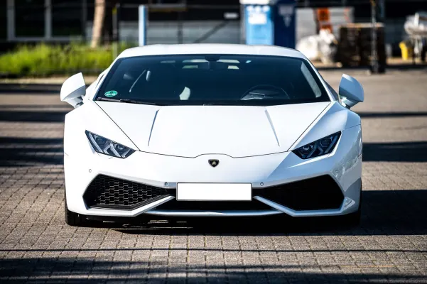 Cazino Dogs Fortune Cazinou Aplicație Android/iOS